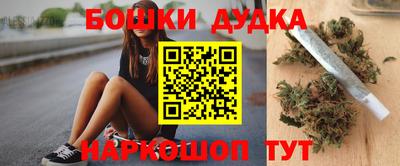 индика Новодвинск