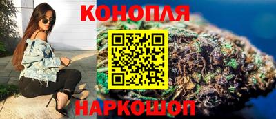 индика Новодвинск