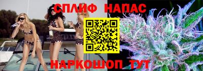 индика Новодвинск
