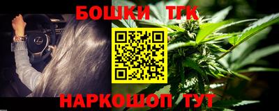 индика Новодвинск