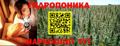 индика Новодвинск