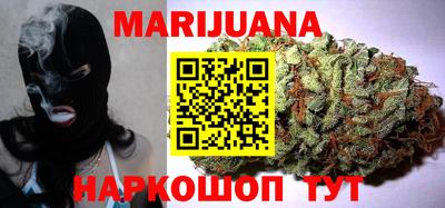 индика Новодвинск