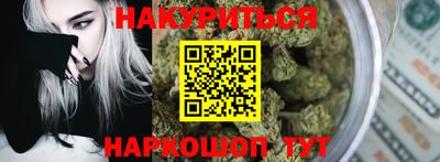 индика Новодвинск