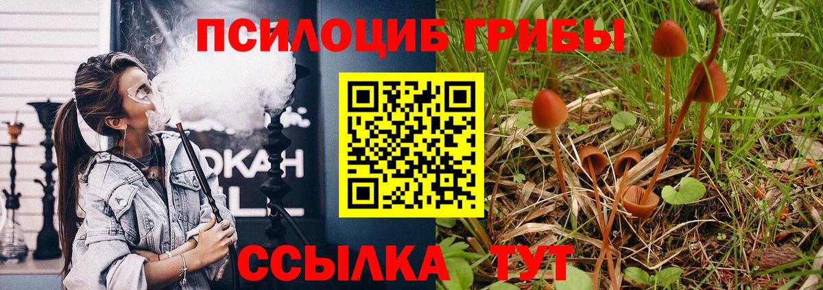 Псилоцибиновые грибы GOLDEN TEACHER Новокуйбышевск